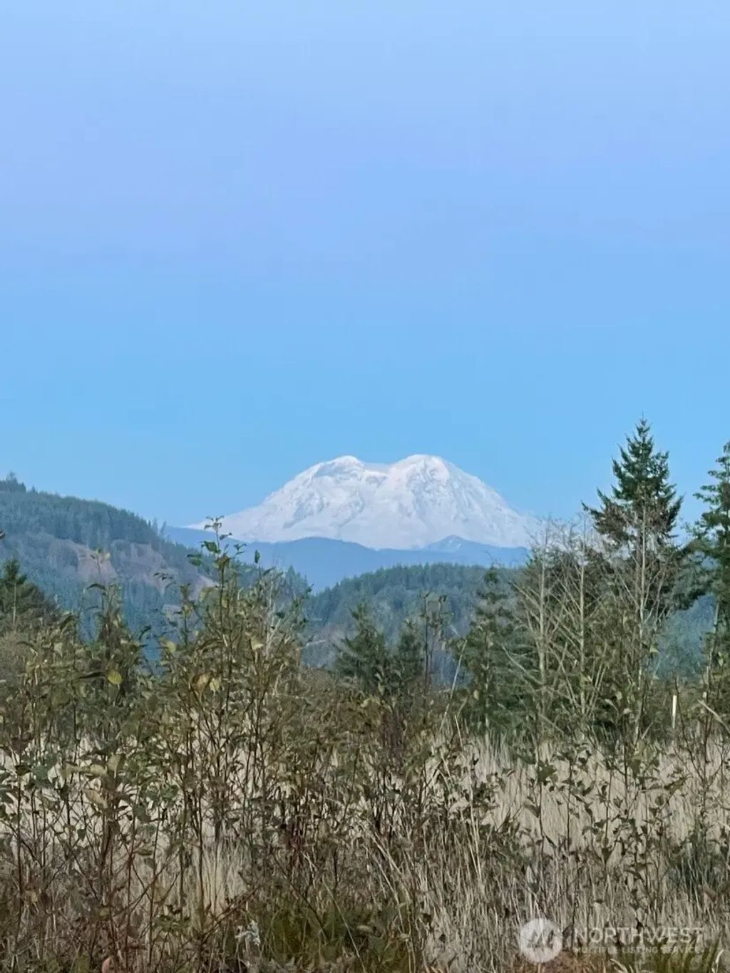 0 0 Salmon Creek Road, Mossyrock