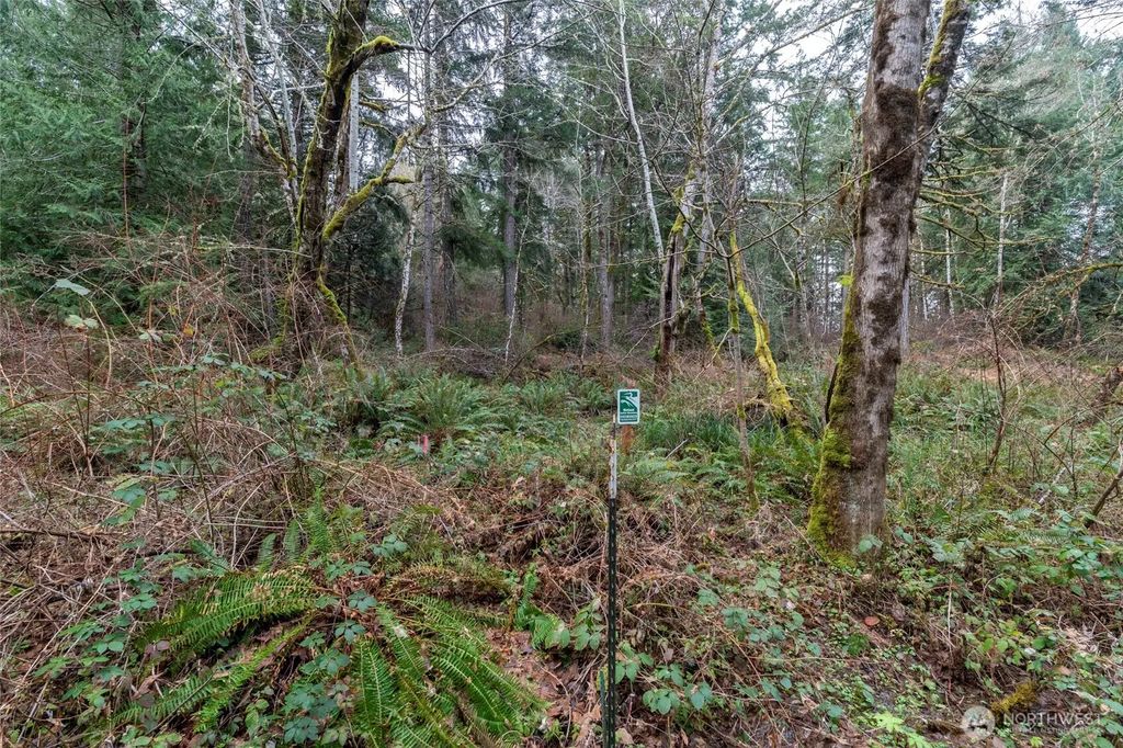 8900 Adams Lane Nw, Olympia