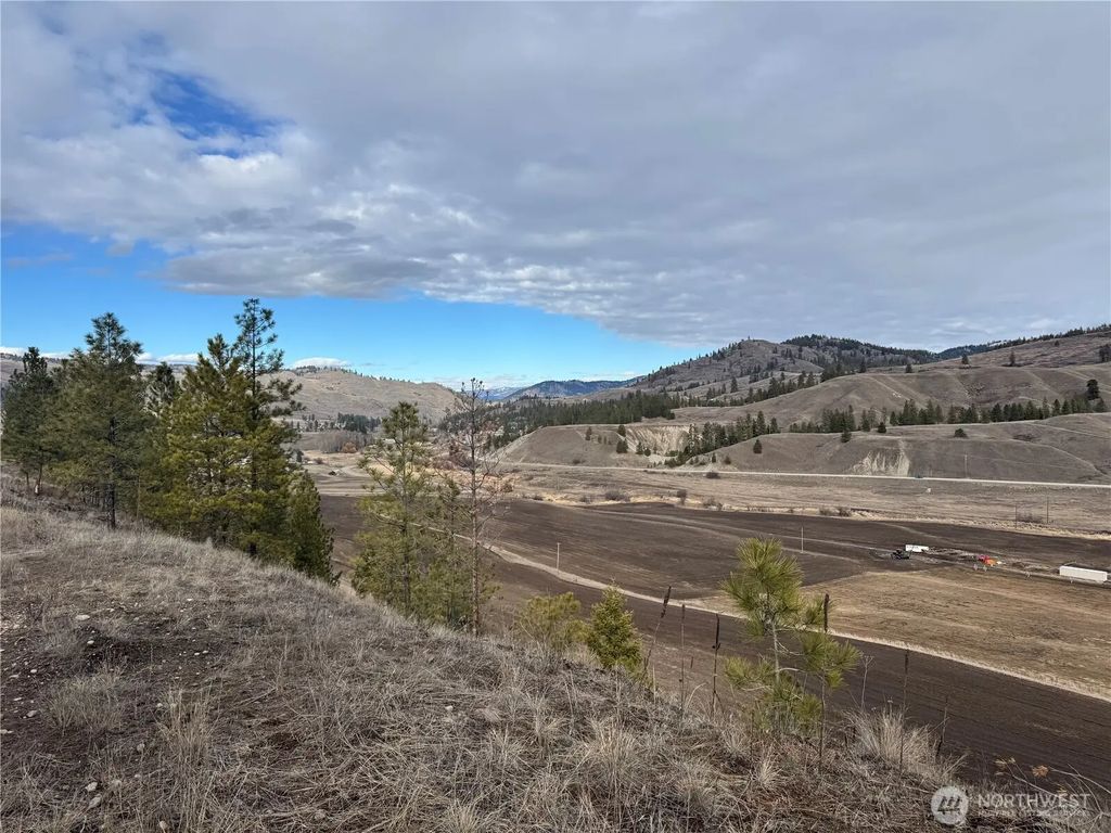 6 Lot Tbd Lundimo Meadows, Curlew