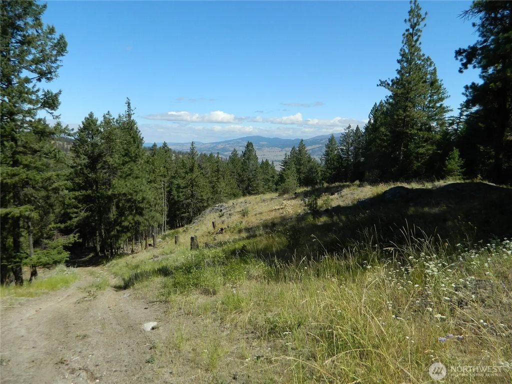 Tbd Snowbunny Ridge Drive, Tonasket