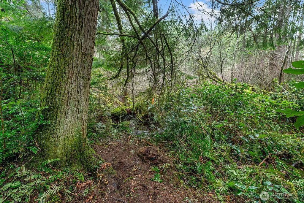 Sw 220th Street, Vashon