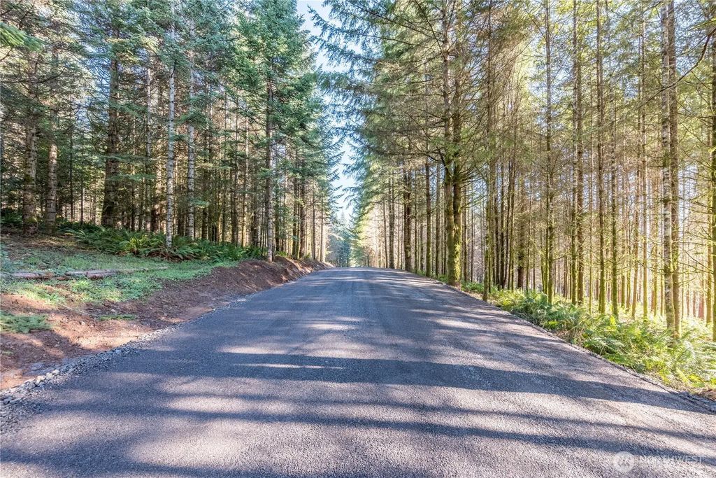 Bunker Hill Road 2, Longview
