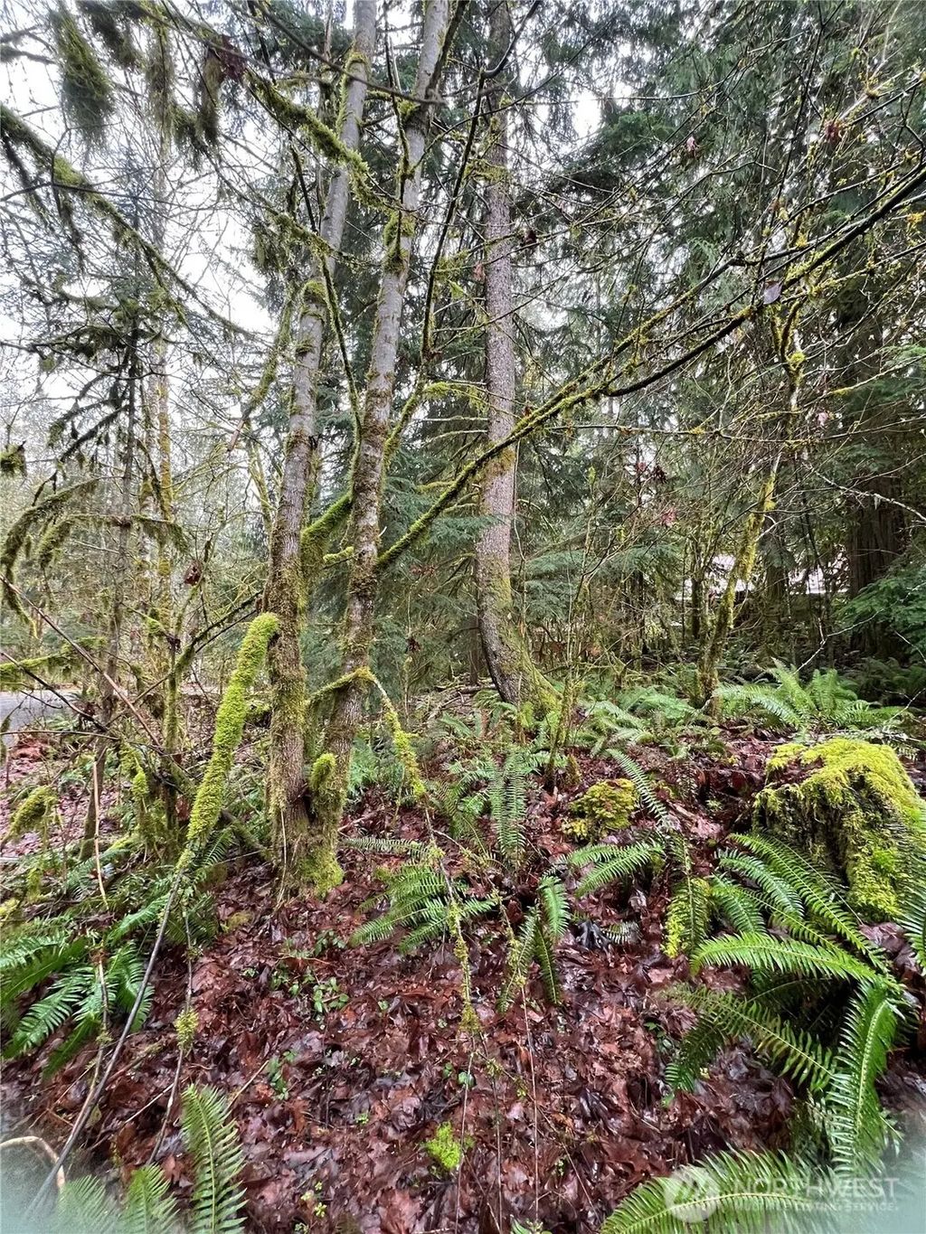 15026 Iceberg Road, Glacier