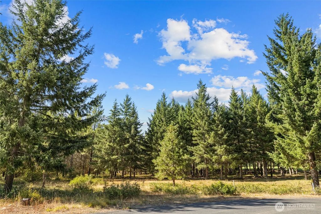51 Big Bug Lane, Cle Elum