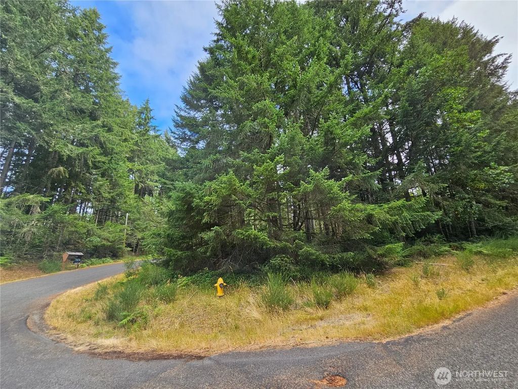 9325 123rd Avenue, Anderson Island