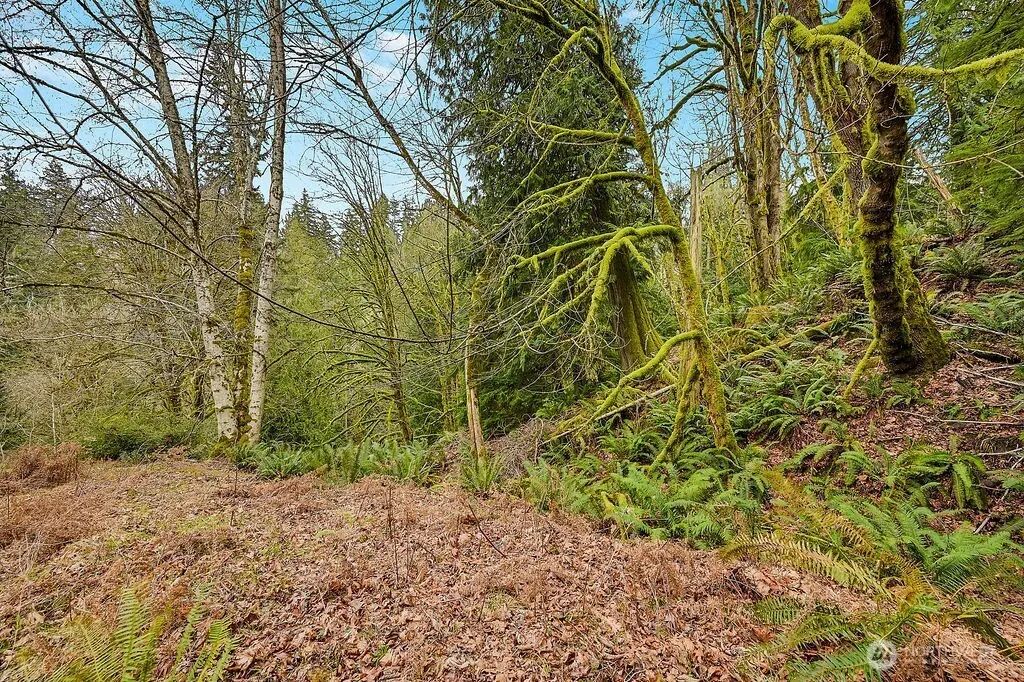 376 Beach Drive, Quilcene