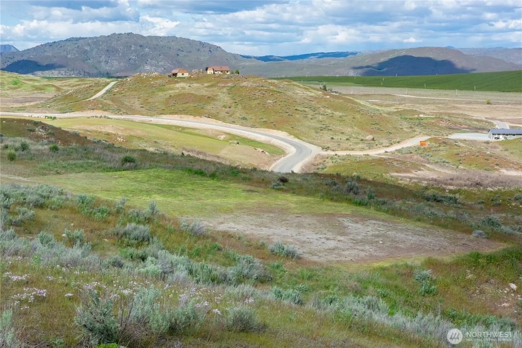 Appaloosa Lot 2, Brewster