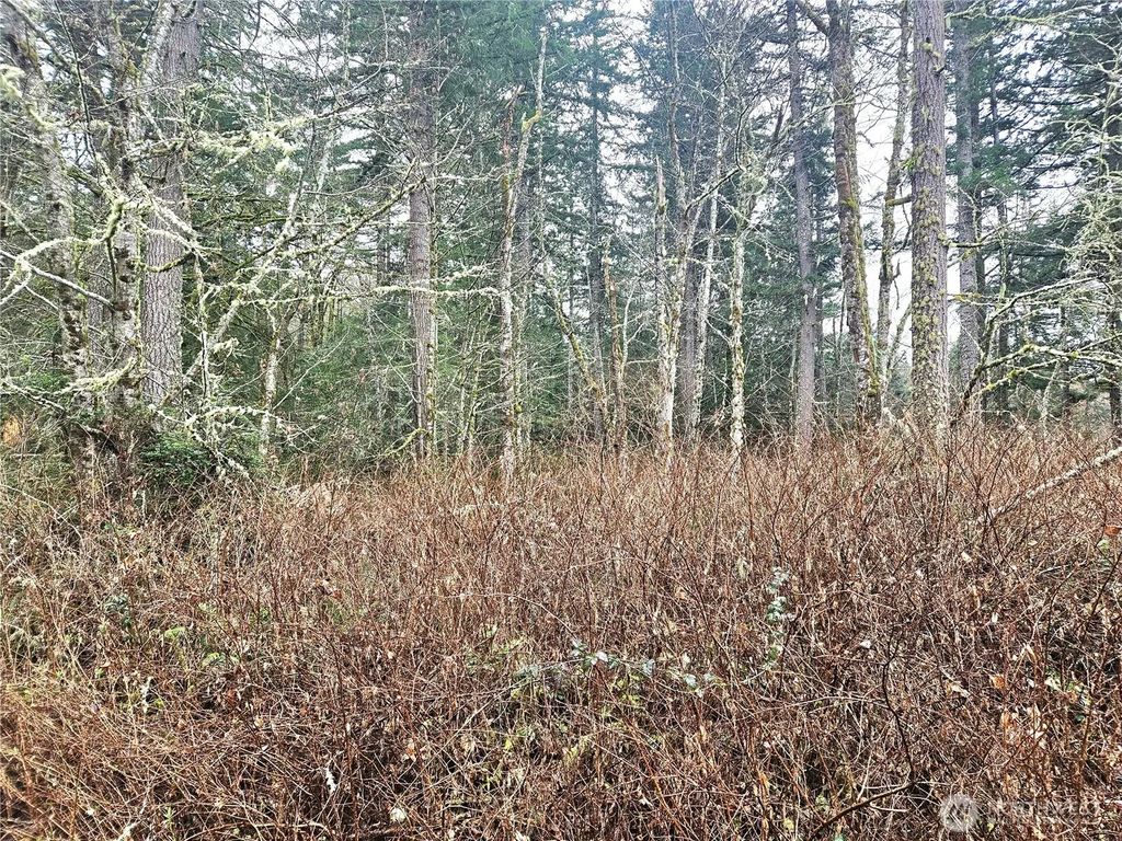 4 Nka W Go Onna Drive, Quilcene
