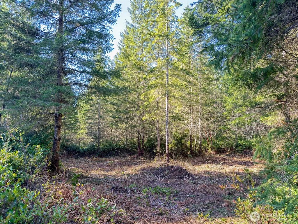 222 X Octopus Court, Quilcene