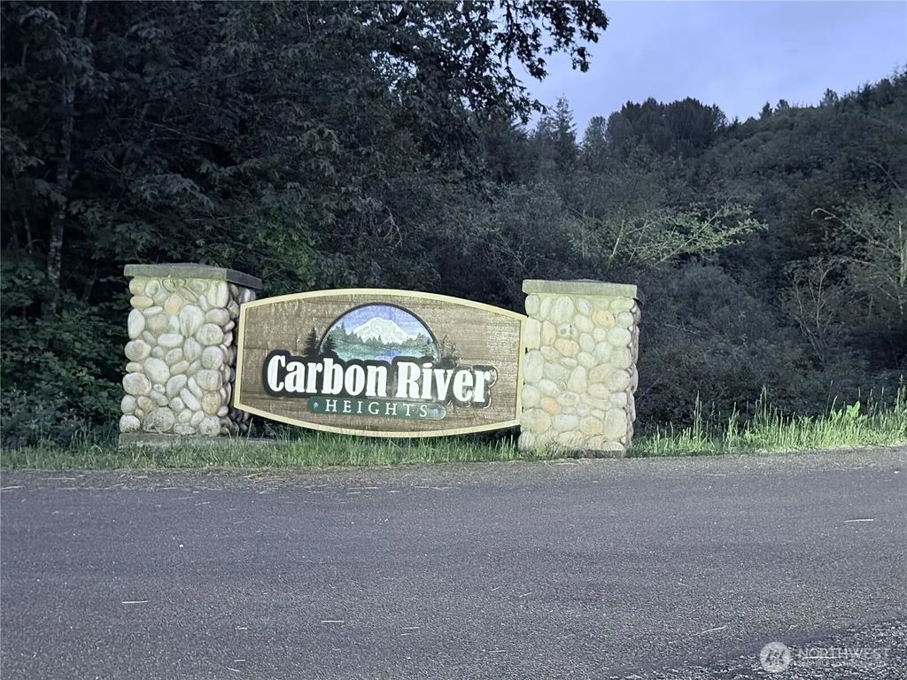 0 Lot 3 250th Avenue E, Orting