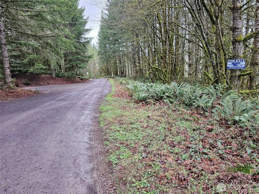 461 Clearwater Road, Kelso