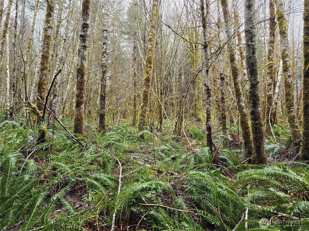 0 Lot 4 W Elk Hill Road, Elma