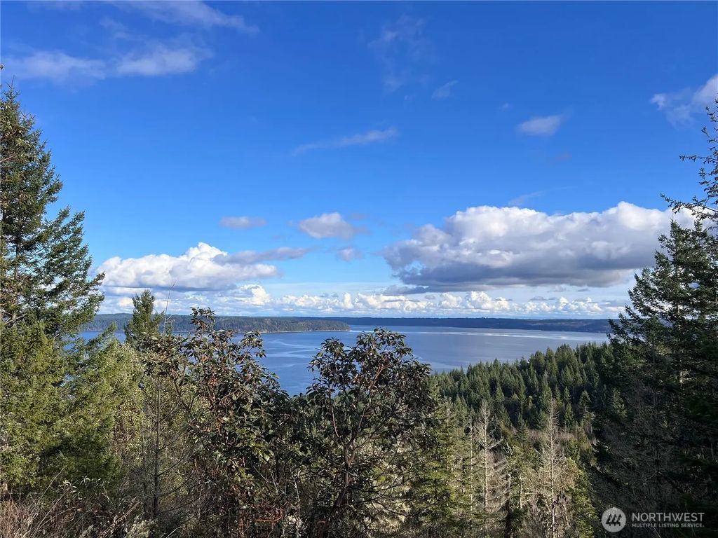 59 X Moose Mountain Road, Brinnon