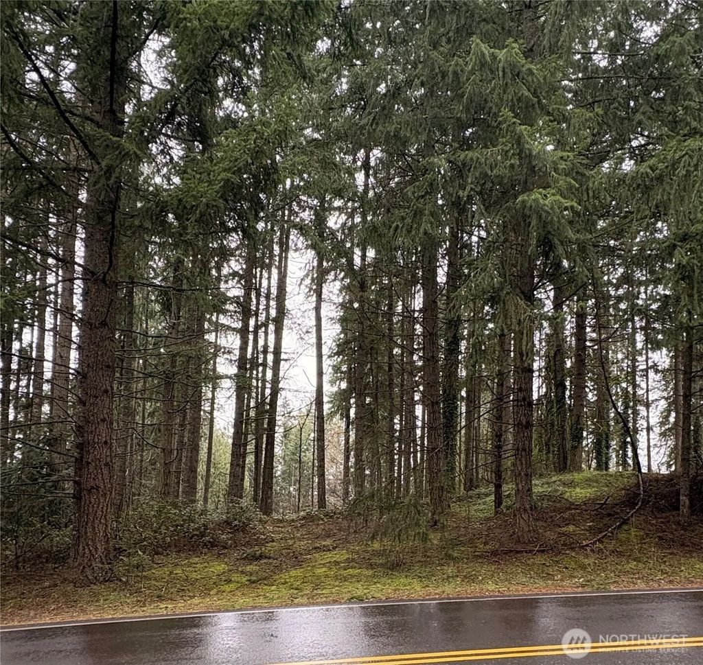22020 Clearlake Boulevard Se, Yelm