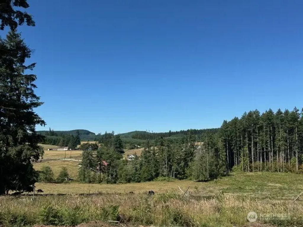 118 Woodberry Lane, Winlock