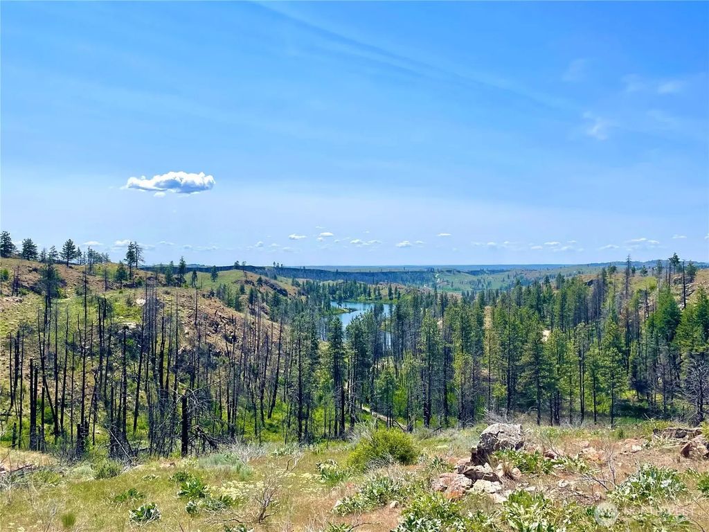0 Tbd Madd Mtn Road, Okanogan