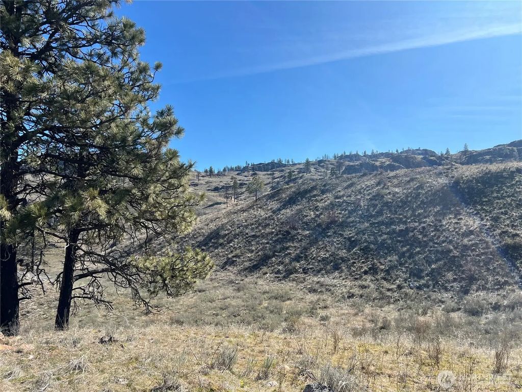 0 Nna Soap Lake Road, Malott
