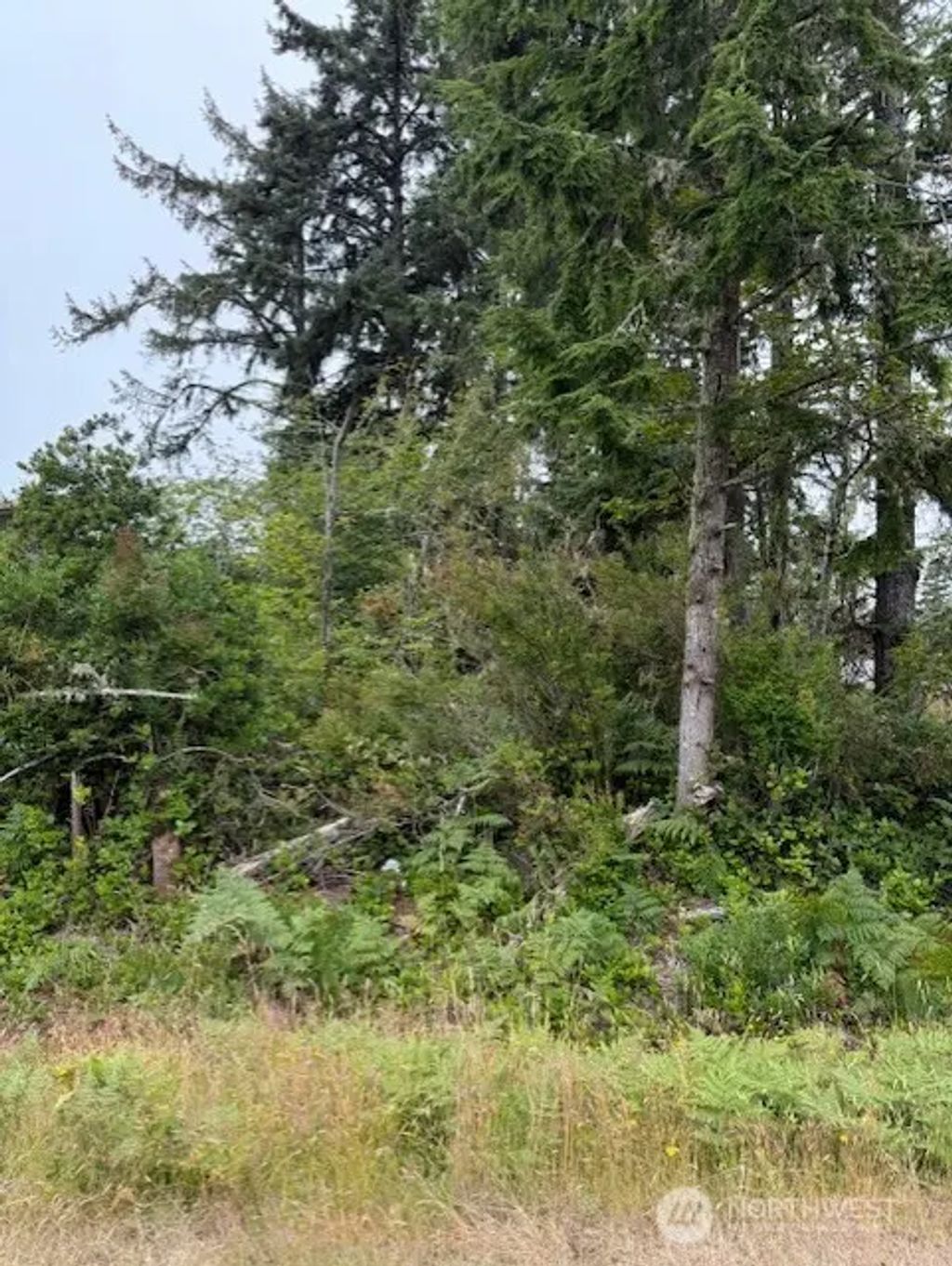 577 Sunset Avenue Ne, Ocean Shores