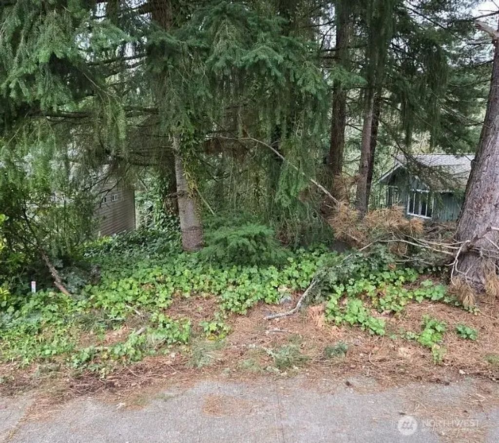 4684 152nd Place Se, Bellevue