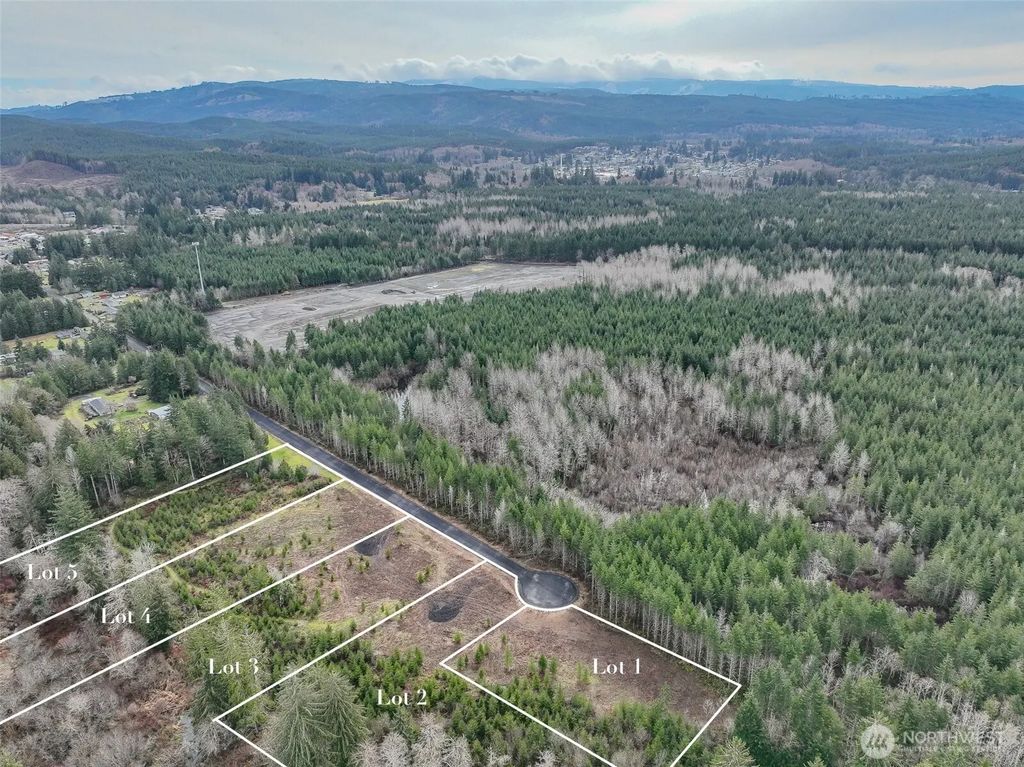 110 Lot 5 Larson Road, McCleary