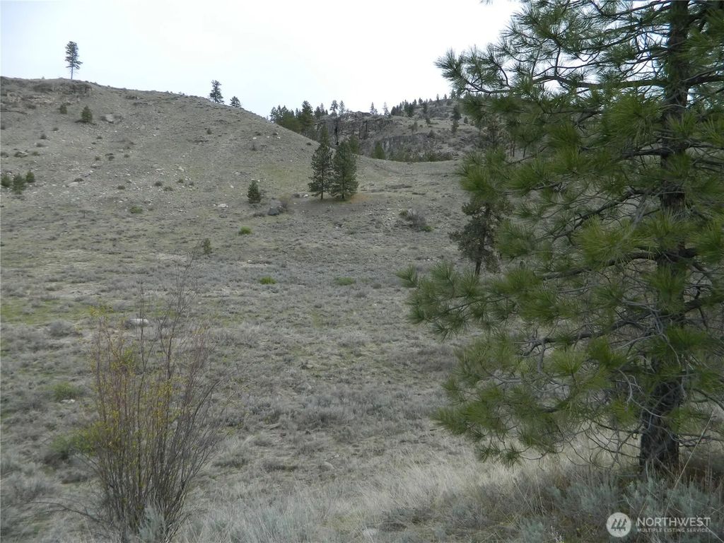 11 Tbd Six Gun Way, Tonasket