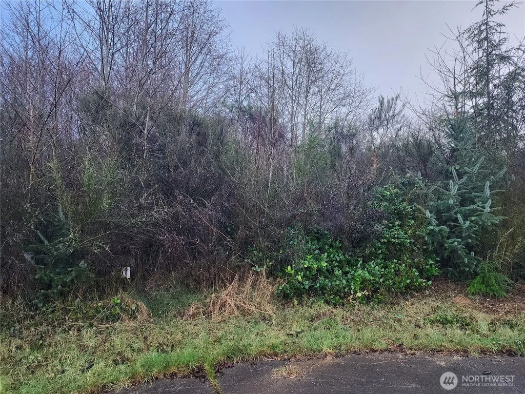 1 Murre Ct, Hoquiam