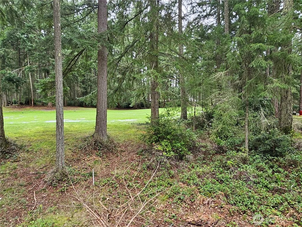 11005 Pioneer Drive, Anderson Island
