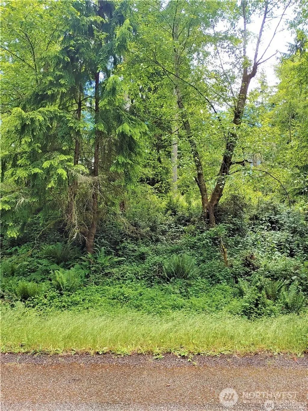11909 11911 Country Club Drive, Anderson Island