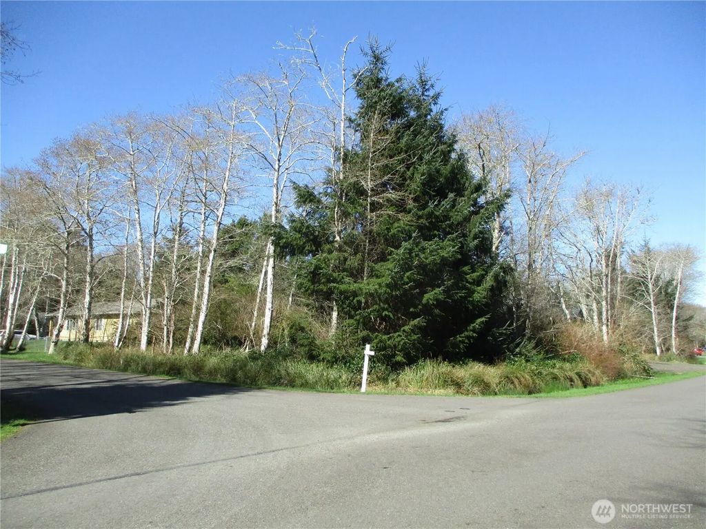 301 Olympic View, Ocean Shores