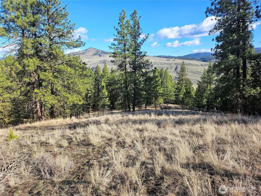 380 Lot Chopaka Tbd Road, Tonasket