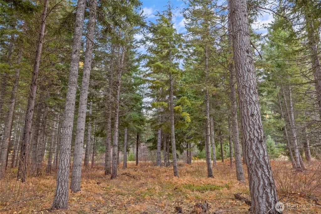 230 Goat Creek Lane, Cle Elum
