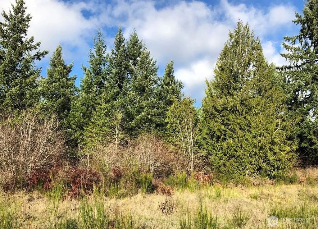 14623 Lindsay Loop Se, Yelm