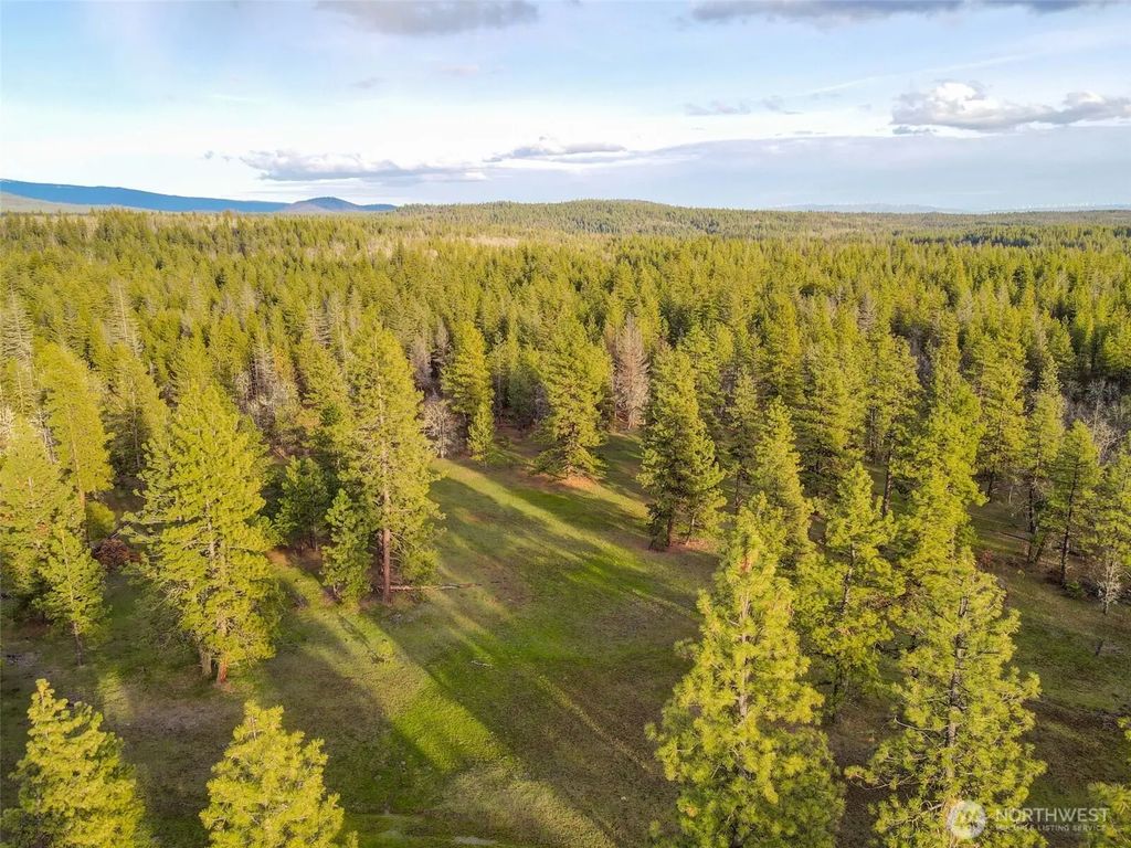 0 Lot 8 Greyback Mountain Road, Goldendale