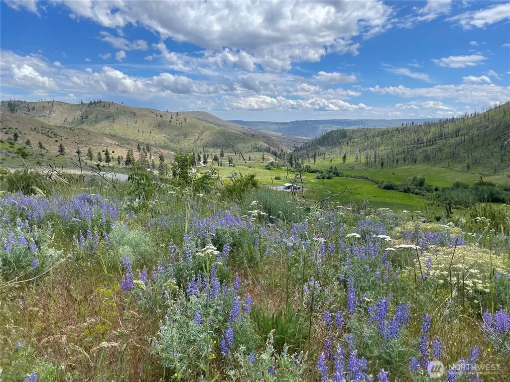 436 Antoine Creek Road Lot I, Chelan
