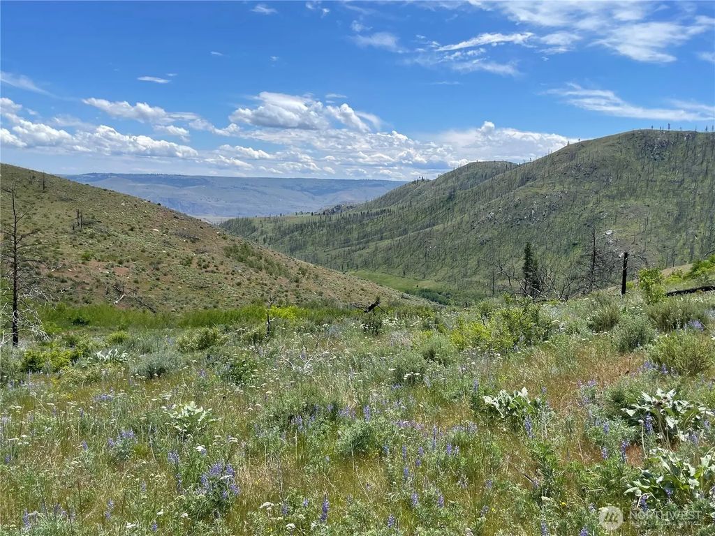 436 Antoine Creek Road Lot E, Chelan