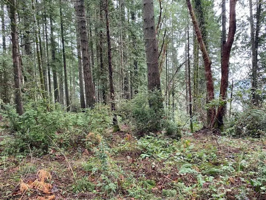 Elk Street, Shelton