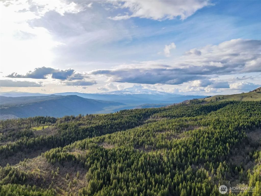 0 Lot 7 Greyback Mountain Road, Goldendale