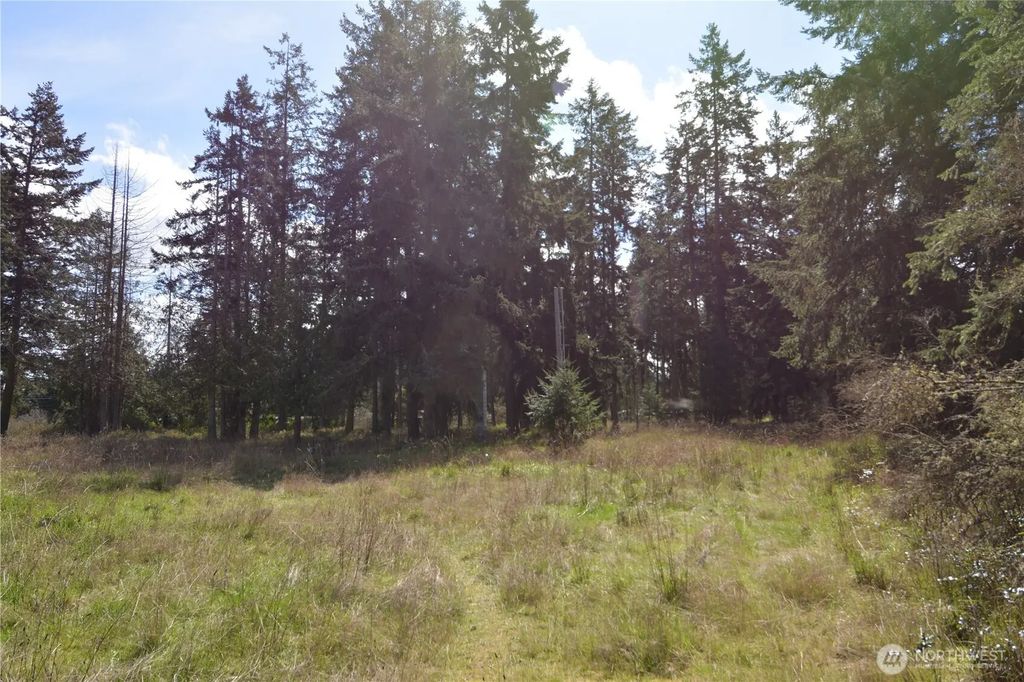999 W Silberhorn, Sequim
