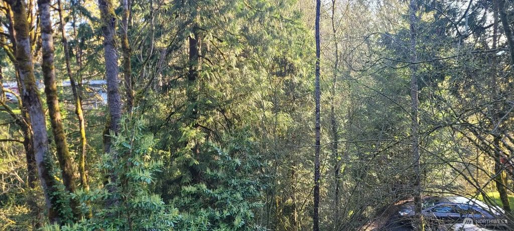 1317 Wildwood Boulevard Sw, Issaquah