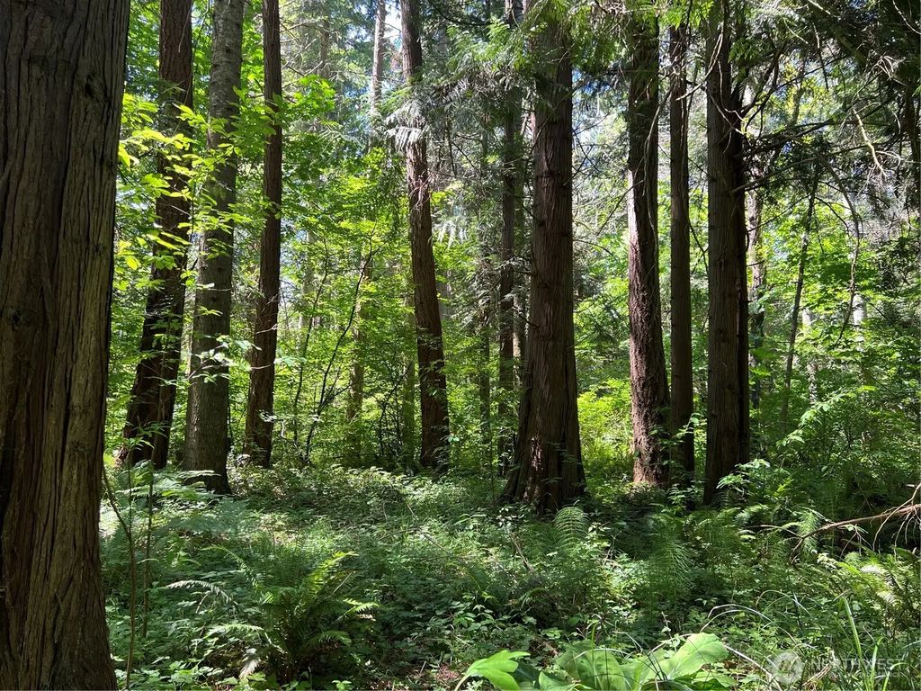 6 Acres South Beach Road, Point Roberts