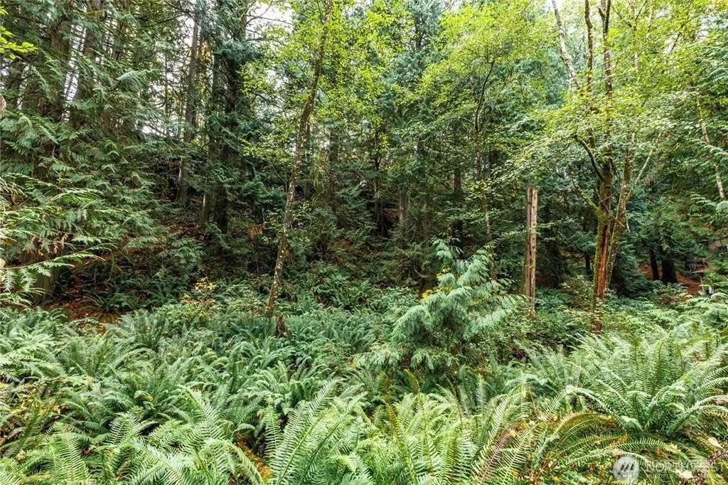 203 Sudden Valley Drive, Bellingham