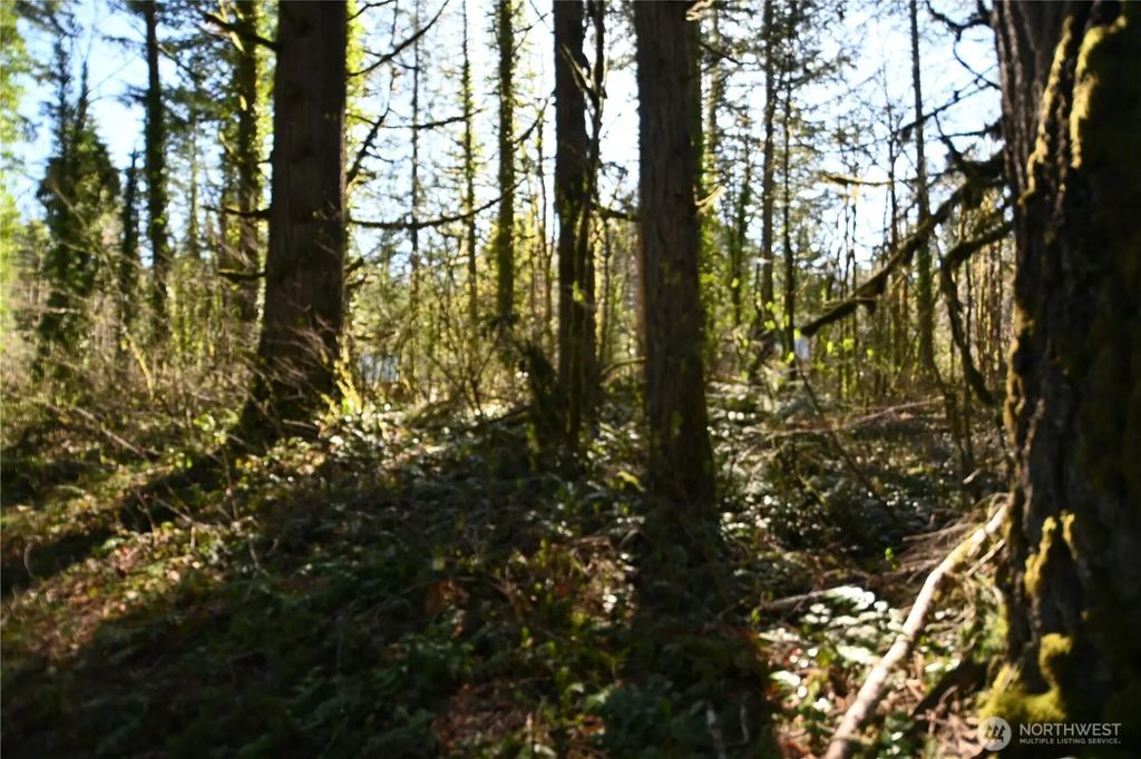 Old Cascade Hwy, Skykomish