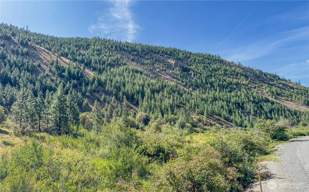 10558 Mud Creek Road, Entiat