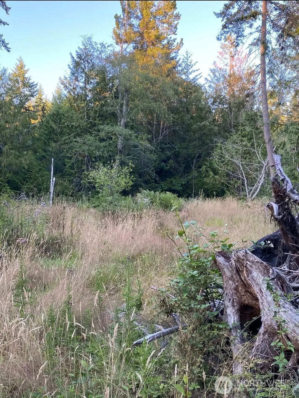121 N Bagley Creek Road, Port Angeles