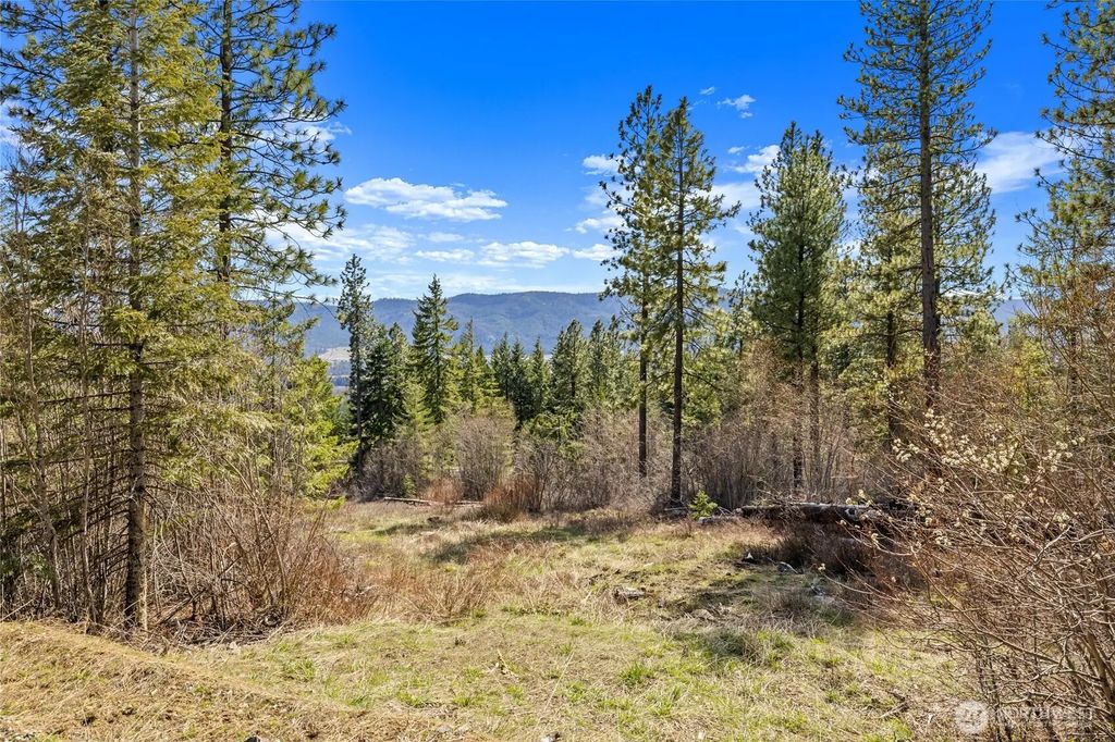 6 Forest Ridge (lot 6) Drive, Cle Elum