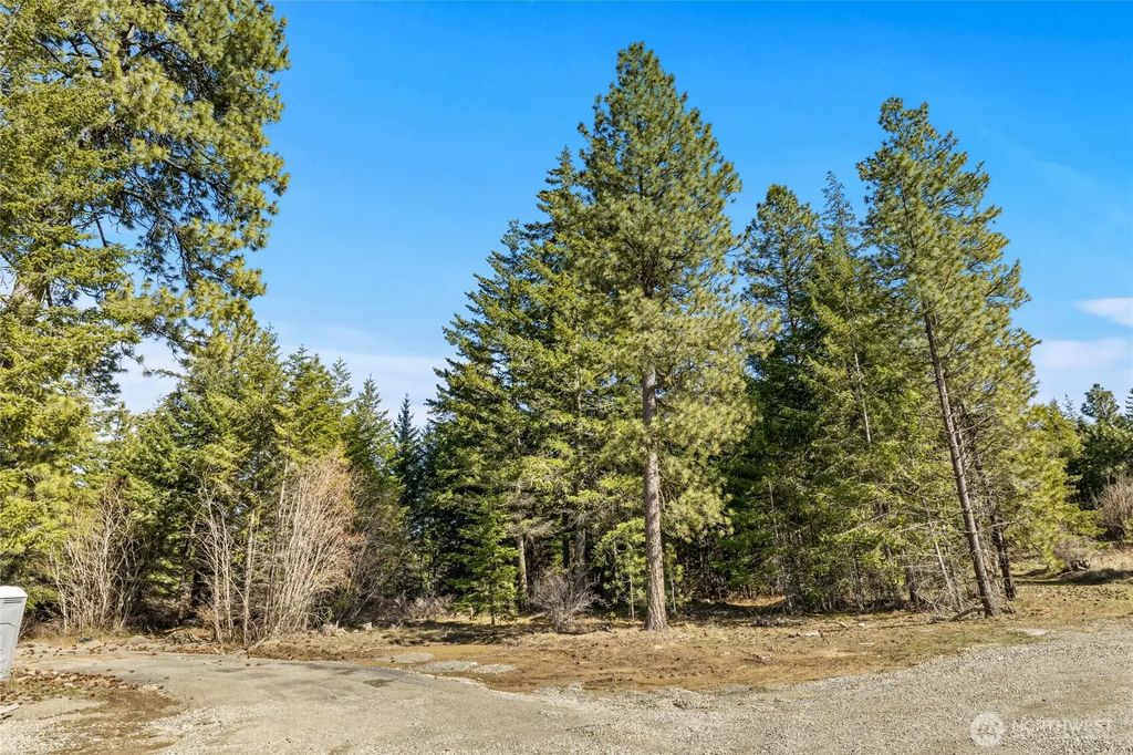78 Forest Ridge (lot 78) Drive, Cle Elum