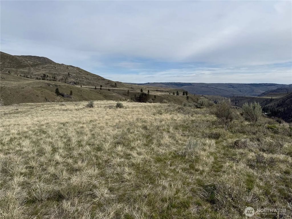 2830 Antoine Creek Road, Chelan
