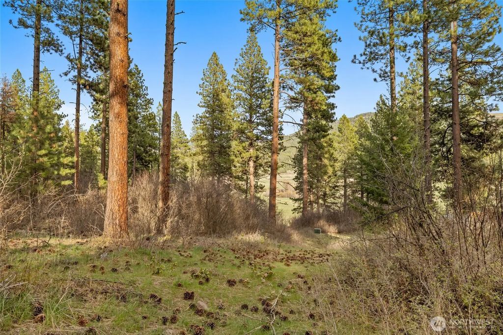 250 Fir Tree Drive, Cle Elum
