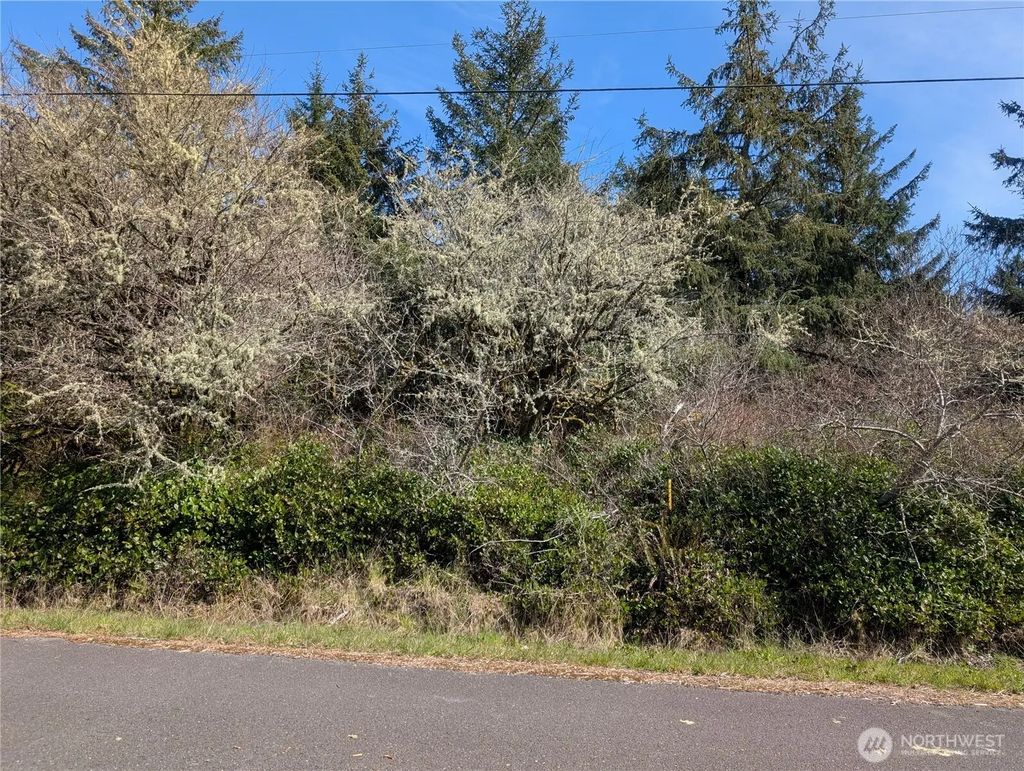 133 Cloquallum Street Se, Ocean Shores