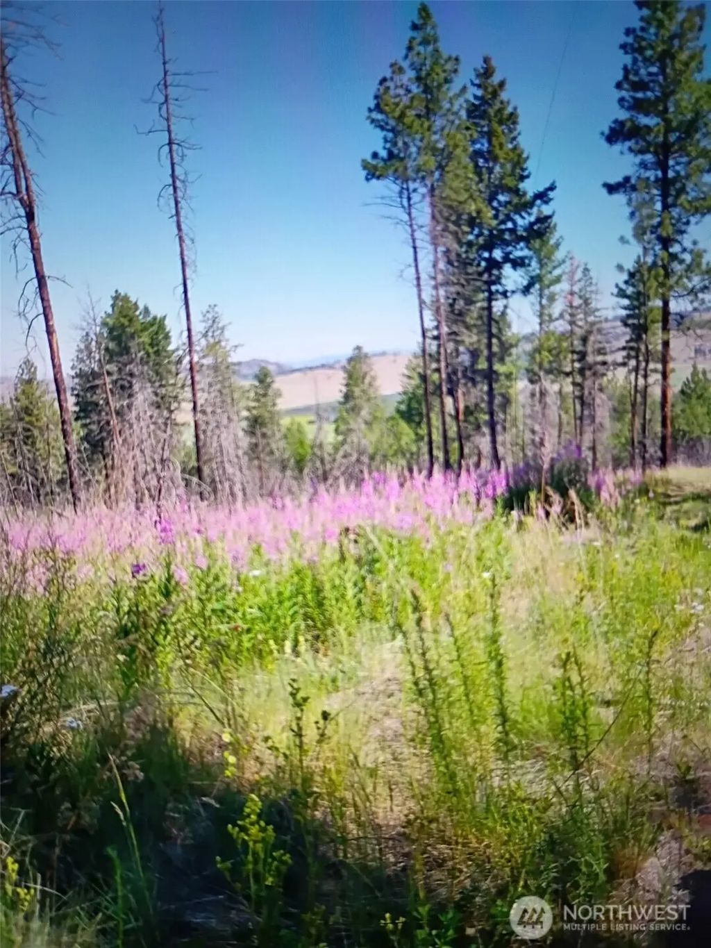 111 Tbd J H Green Rd, Tonasket
